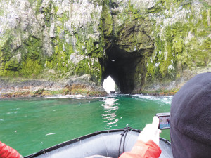 photo by Virgil DollarSmall groups took Zodiac boat excursions to explore the Arctic.