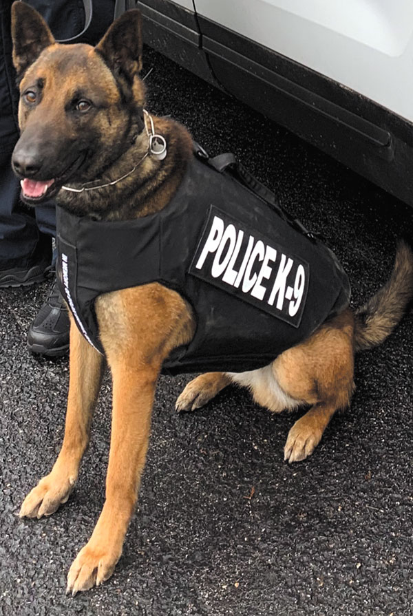 submitted photoIndianapolis Metro Police Department K9s Isaac and Yuri have received new bullet and stab protective vests thanks to a charitable donation from Vested Interest in K9s, Inc. The vests were sponsored by Jessica Beck of the Dylan Beck Ride in Indianapolis and embroidered with “In memory of Dylan Beck #43” in his honor.