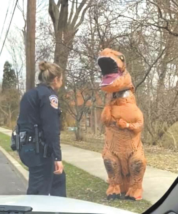 t-rex-in-irvington-busted