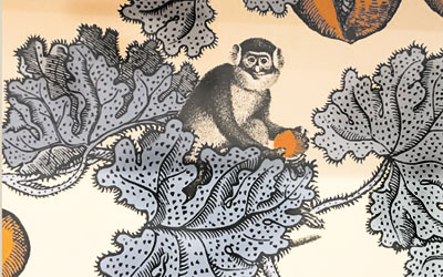 Monkey-on-wallpaper